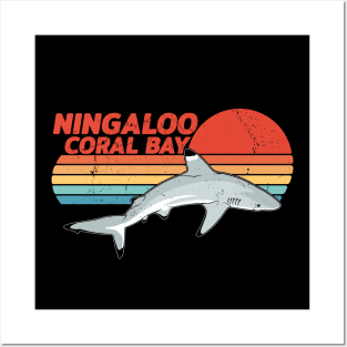 Ningaloo Coral Blacktip Reef Shark Posters and Art